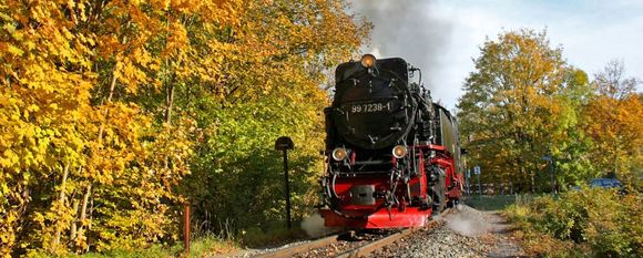 Harzer Dampfeisenbahn